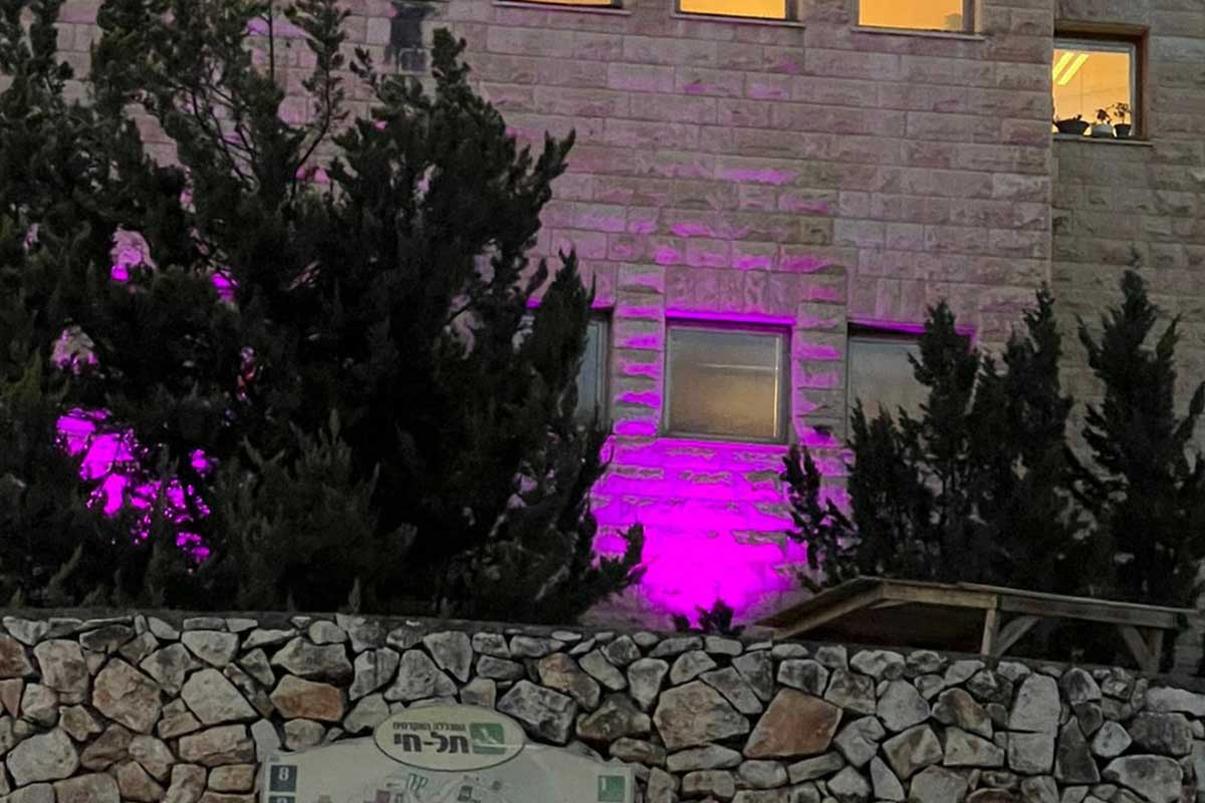 מכללת תל חי